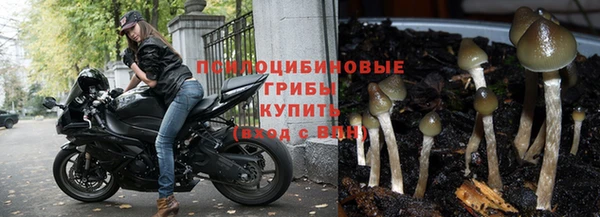 экстази Новодвинск