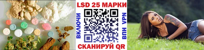 kraken онион  Эртиль  LSD-25 экстази ecstasy  как найти закладки 
